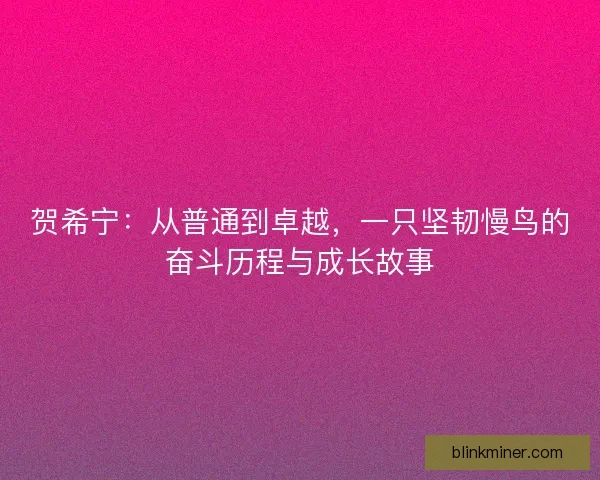 贺希宁：从普通到卓越，一只坚韧慢鸟的奋斗历程与成长故事